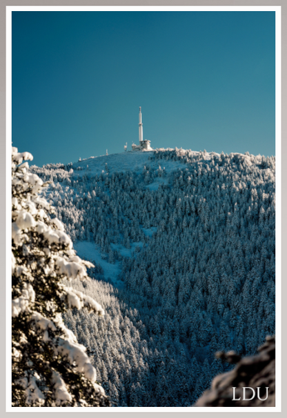 Tableau Sous Verre et Forex