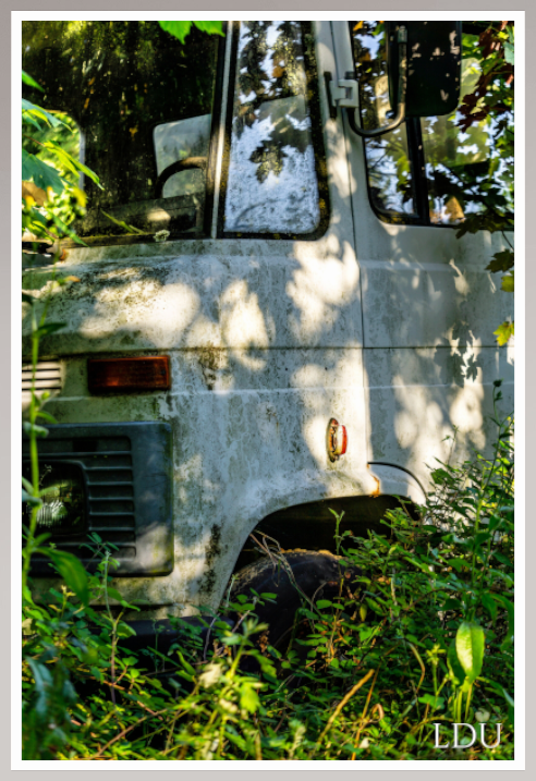 Tableau Sous Verre et Forex