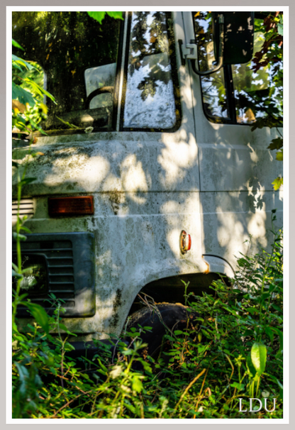 Tableau Sous Verre et Forex