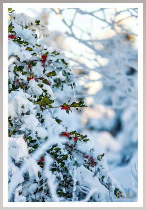 Tableau Sous Verre et Forex