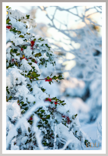 Tableau Sous Verre et Forex