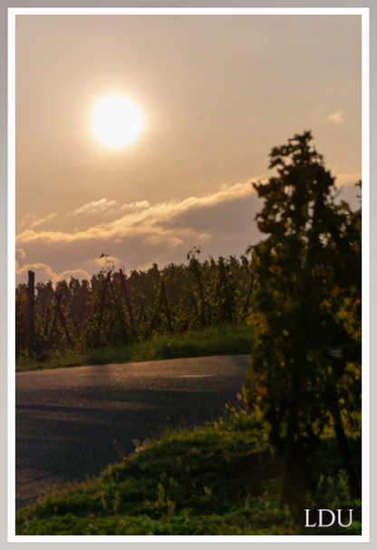 Tableau Sous Verre et Forex