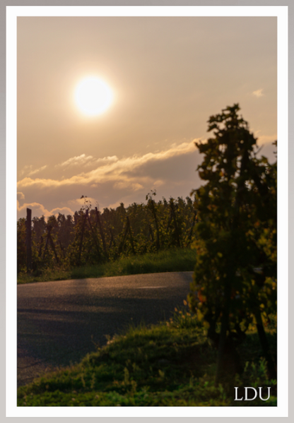 Tableau Sous Verre et Forex