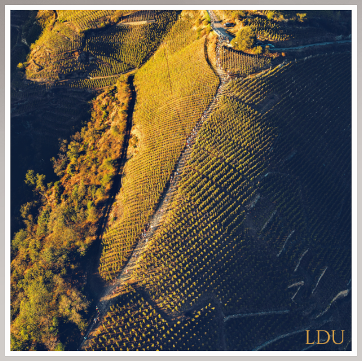 Tableau Sous Verre et Forex