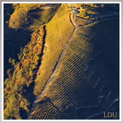 Tableau Sous Verre et Forex