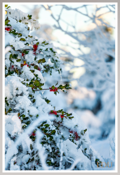 Tableau Sous Verre et Forex