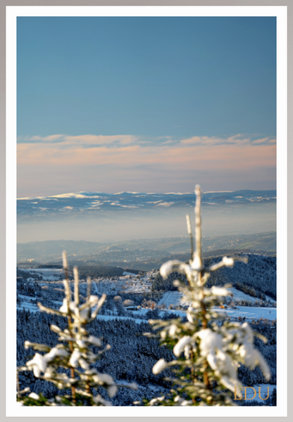 Tableau Sous Verre et Forex