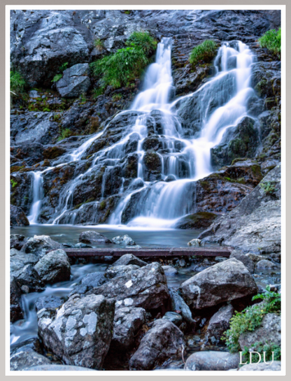 Tableau Sous Verre et Forex