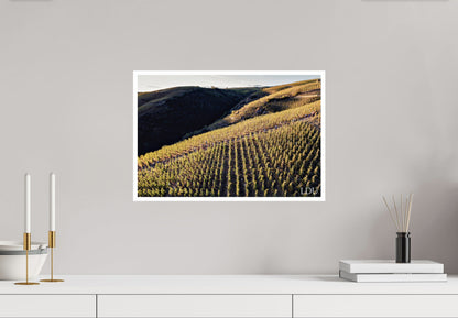 Tableau Sous Verre et Forex