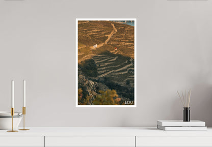 Tableau Sous Verre et Forex